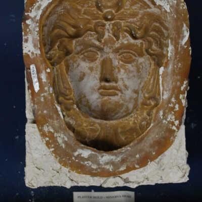 Mold, Plaster