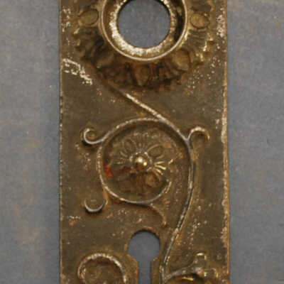 Escutcheon, Plate