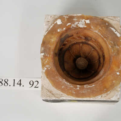 Mold, Plaster