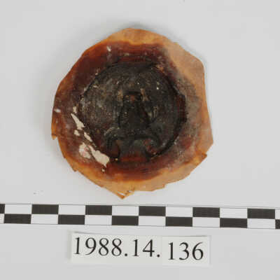 Mold, Plaster