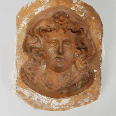 Mold, Plaster