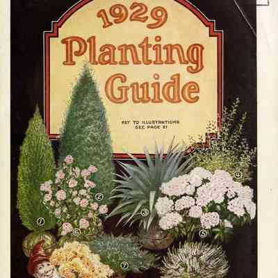 1929 Planting Guide