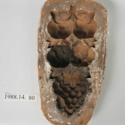 Mold, Plaster