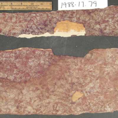 Wallcovering, Wall