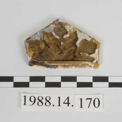 Mold, Plaster