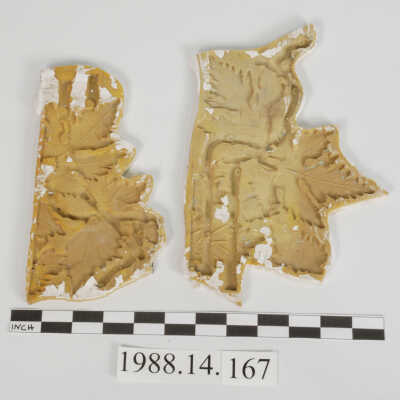 Mold, Plaster
