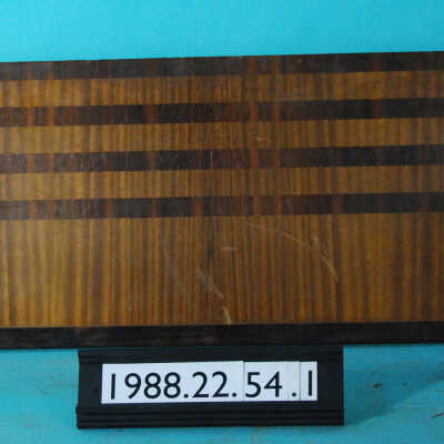Panel