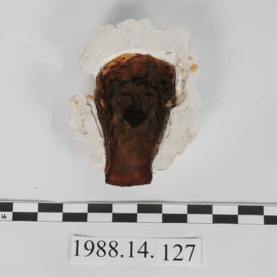 Mold, Plaster