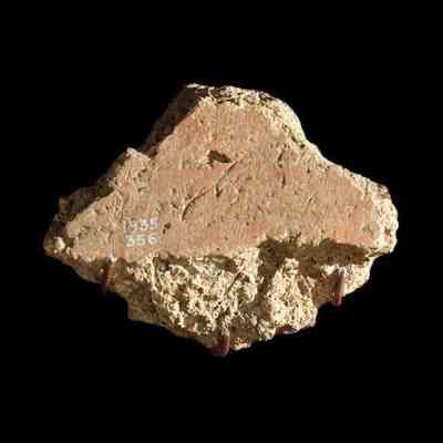 Plaster Fragment