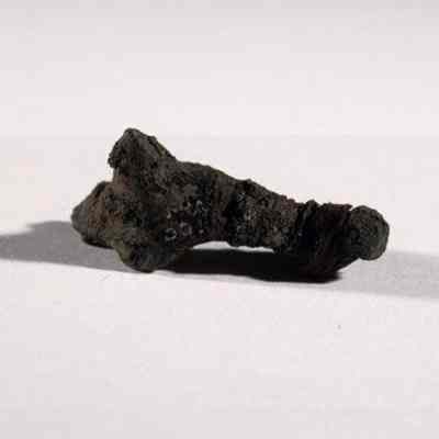 Spur, prick / fragment