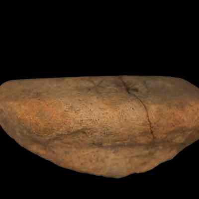 Amphora fragment