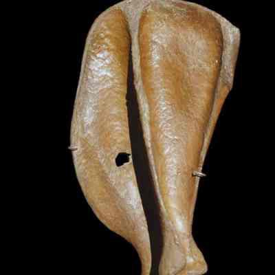 Dog Bone