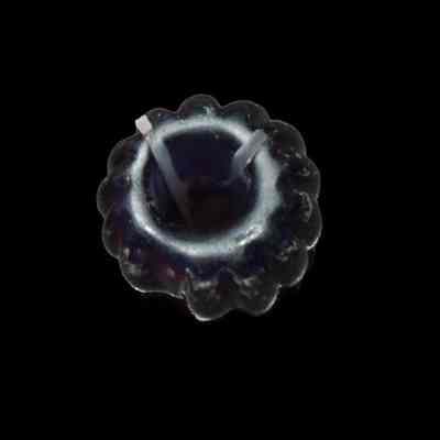 Bead