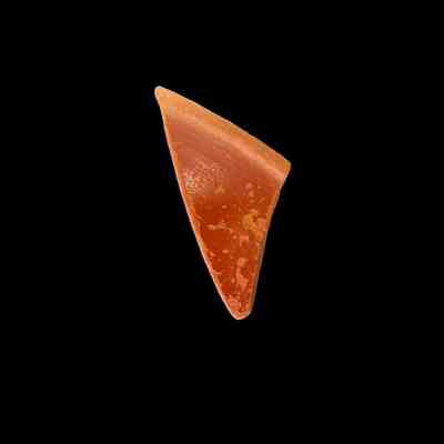 Ceramic Rim Sherd