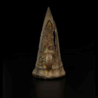©National Museums Scotland