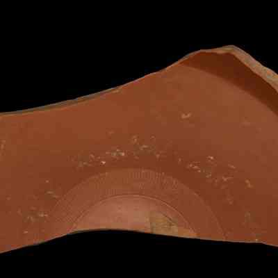 Samian fragment