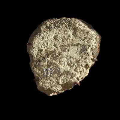Plaster fragment