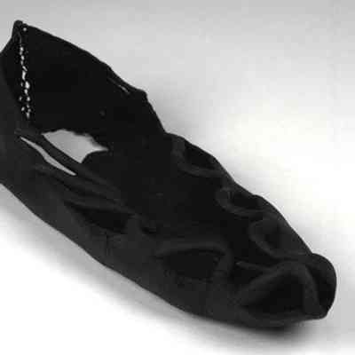 Shoe / carbatina
