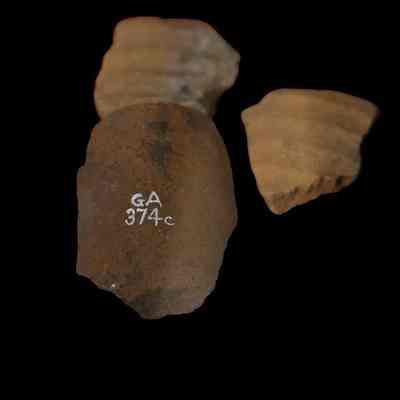 Amphora Fragments