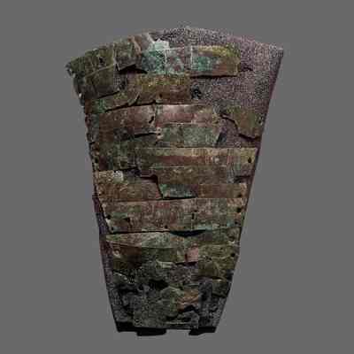 Arm Guard - Manica