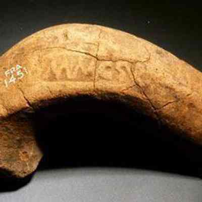 Pottery / amphora / portion