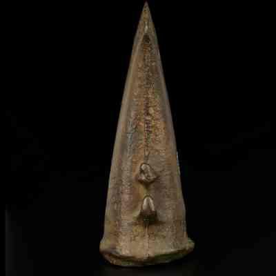©National Museums Scotland