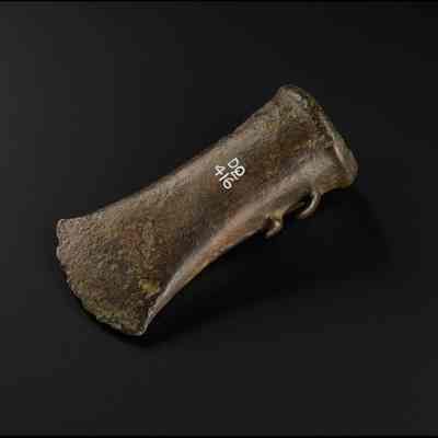 Axe Head