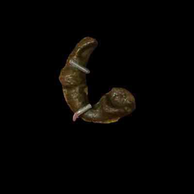 Brooch
