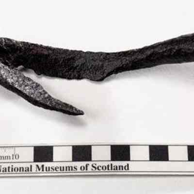 Hook, pruning