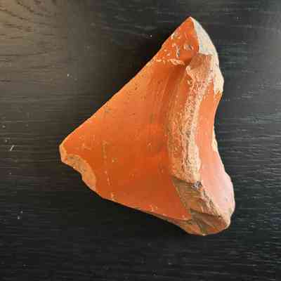 Samian Ware Fragment
