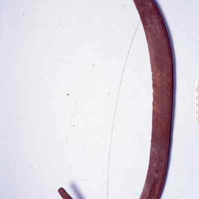 Scythe