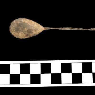 Spoon