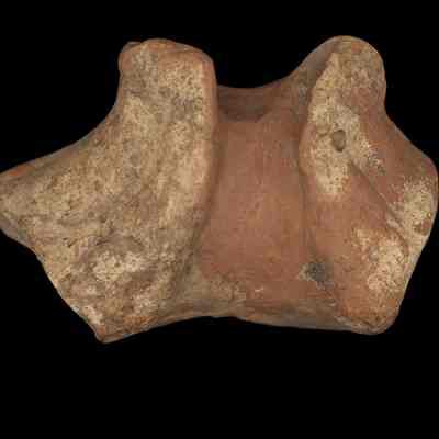 Pottery fragment