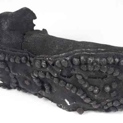 Shoe/Calceus