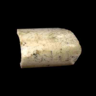 Armlet fragment