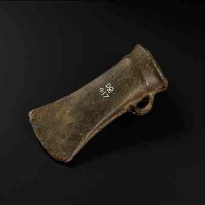 Axe Head