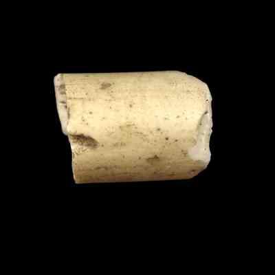 Armlet fragment