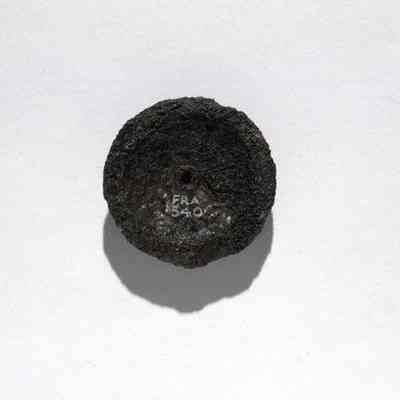 Phalera