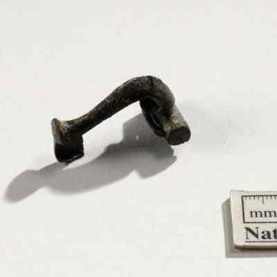 Fibula / brooch, knee
