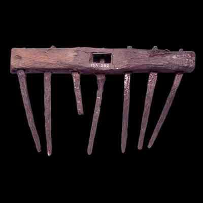 Rake / head