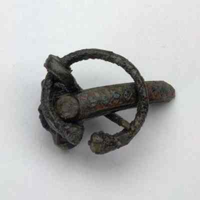 Fibula / brooch / portion
