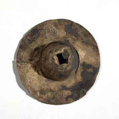 Phalera