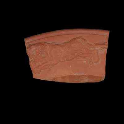 Samian ware fragment