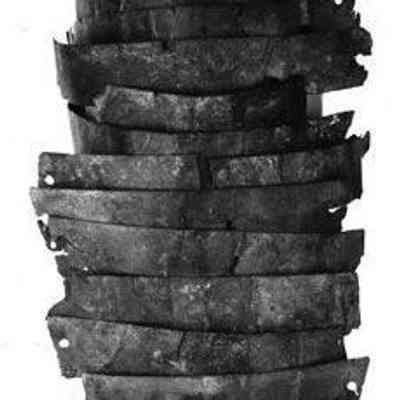 Armour, scale / fragment