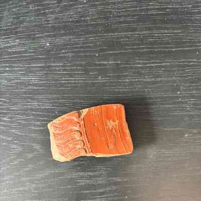 Samian Ware Fragment