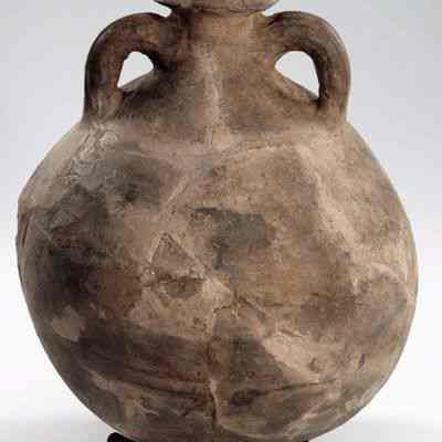 Amphora
