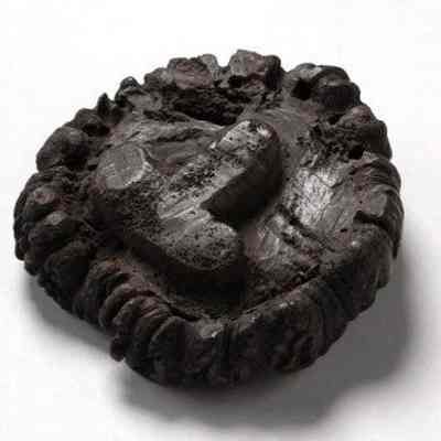 Amulet