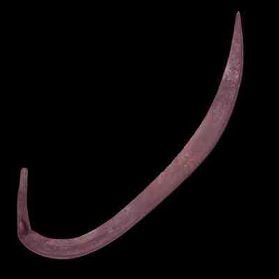 Scythe