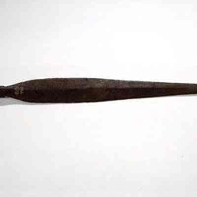 Lancehead