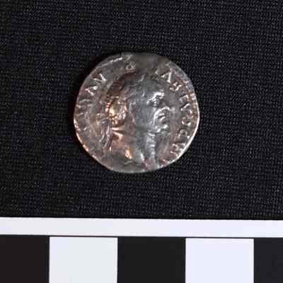 Denarius of Vespasian. Obverse.